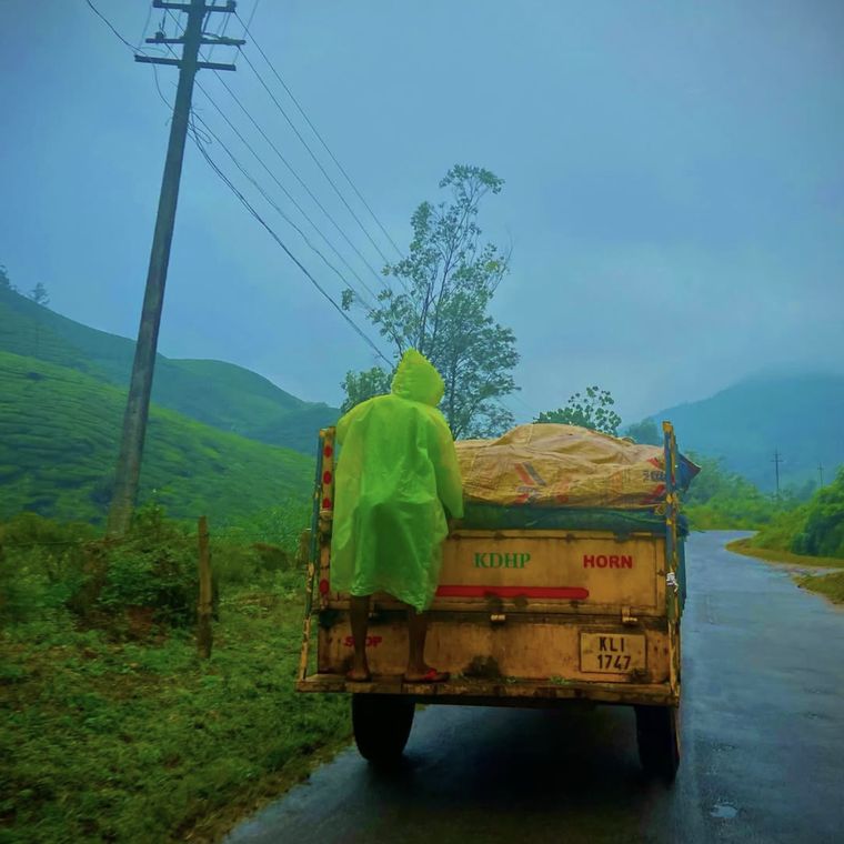 A worker riding the tailgate of a truck through a tea estate in the rain